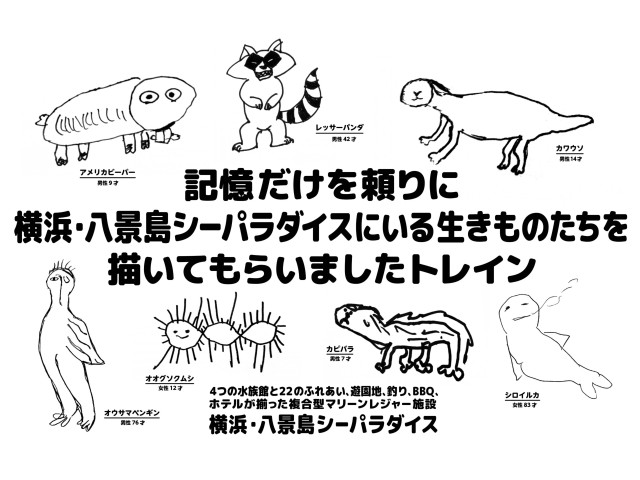 記憶スケッチ